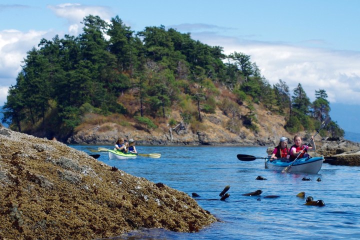 a group of people in a boat on a body of water